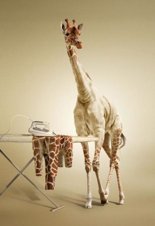 girafe_au_repassage.jpg