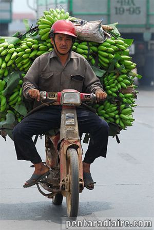 pentaradiaire.com_blog_images_asie_vietnam_moto-bananes.jpg